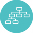 Icon Operational Structure